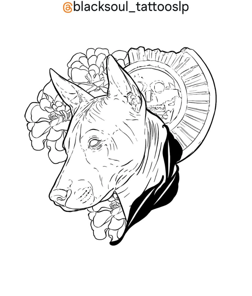 Diseño