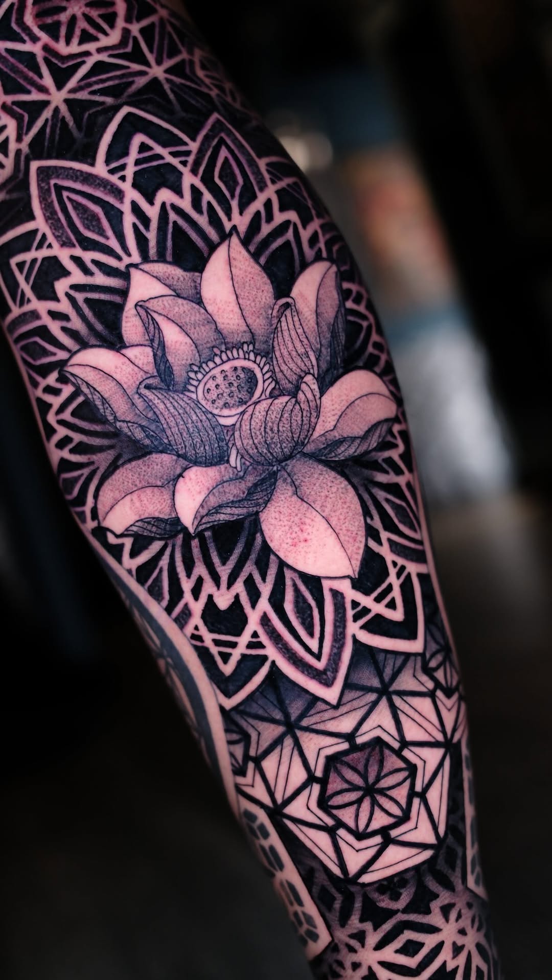 Latest work